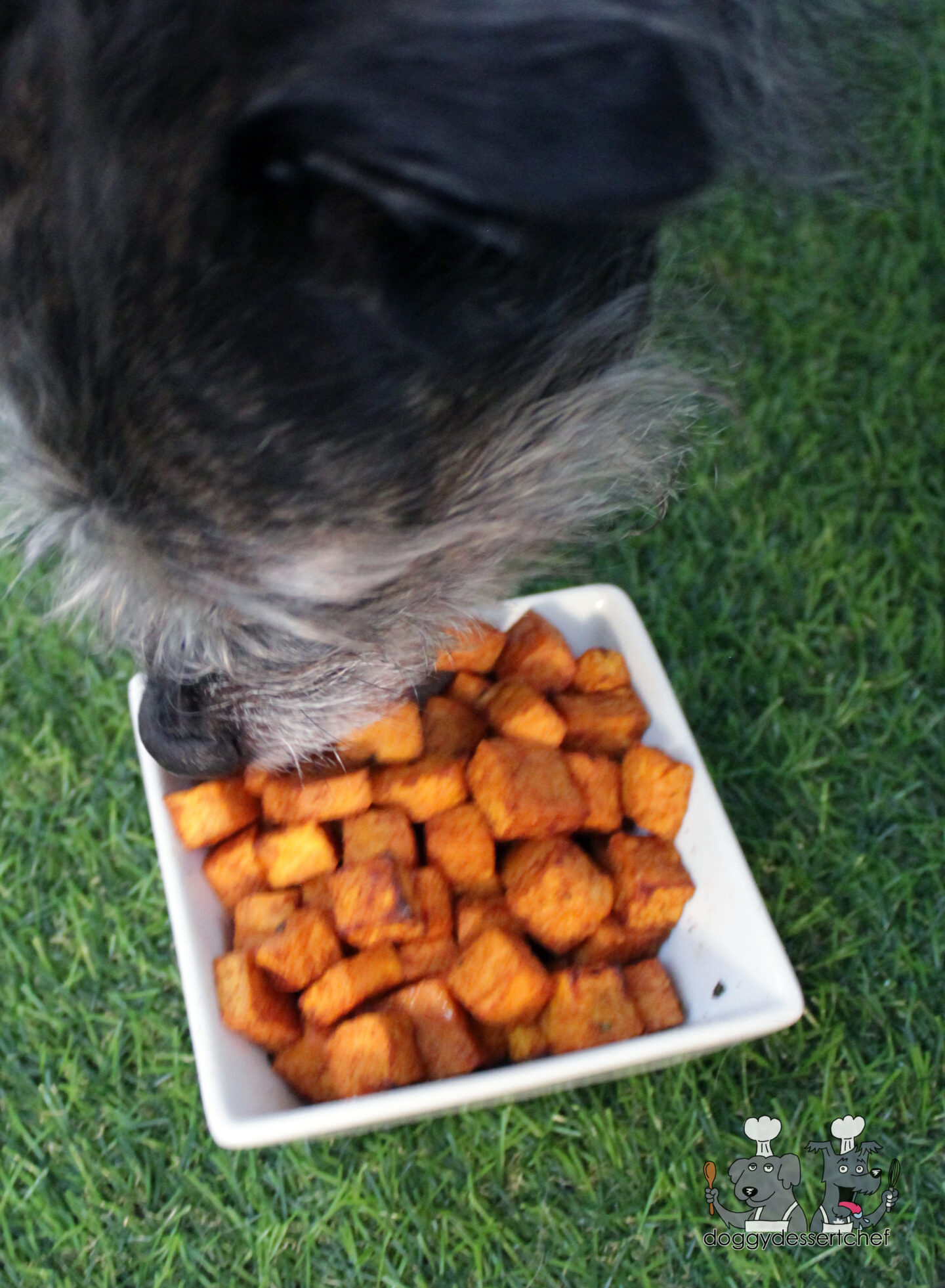 Air-Fryer Sweet Potato Bites dog treat recipe