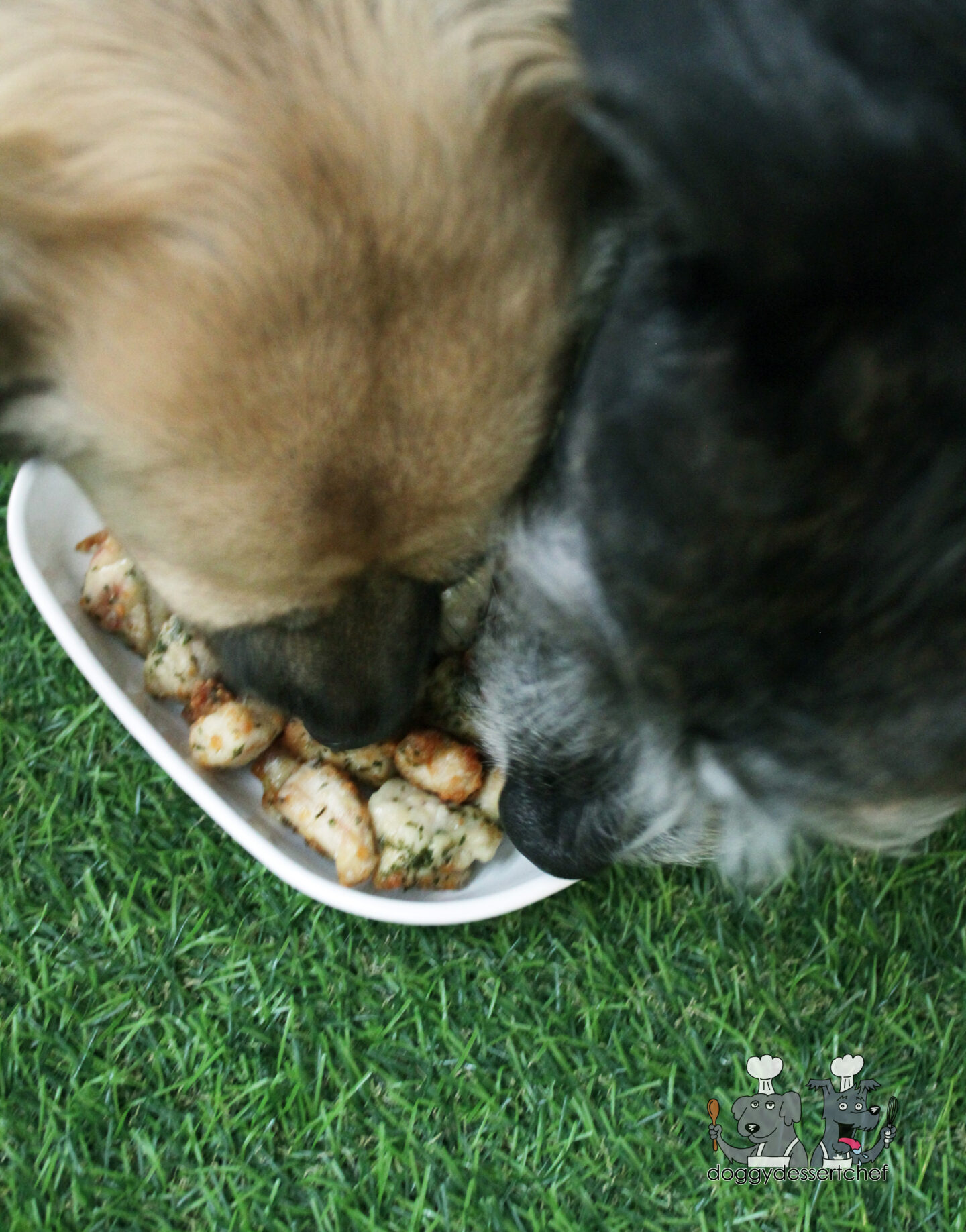 air fryer chicken bites dog treat recipe