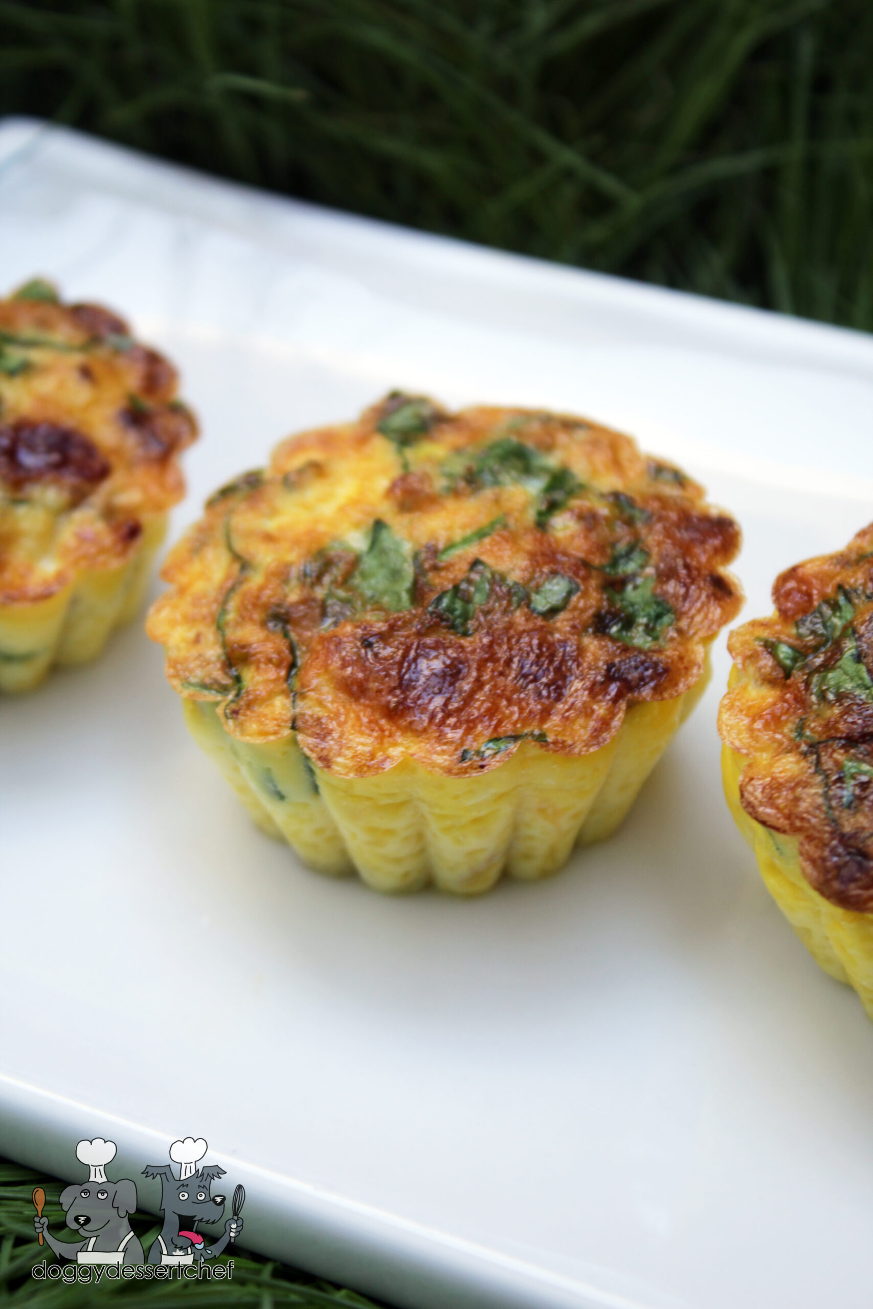 Air Fryer Egg Bites Dog Treat Recipe