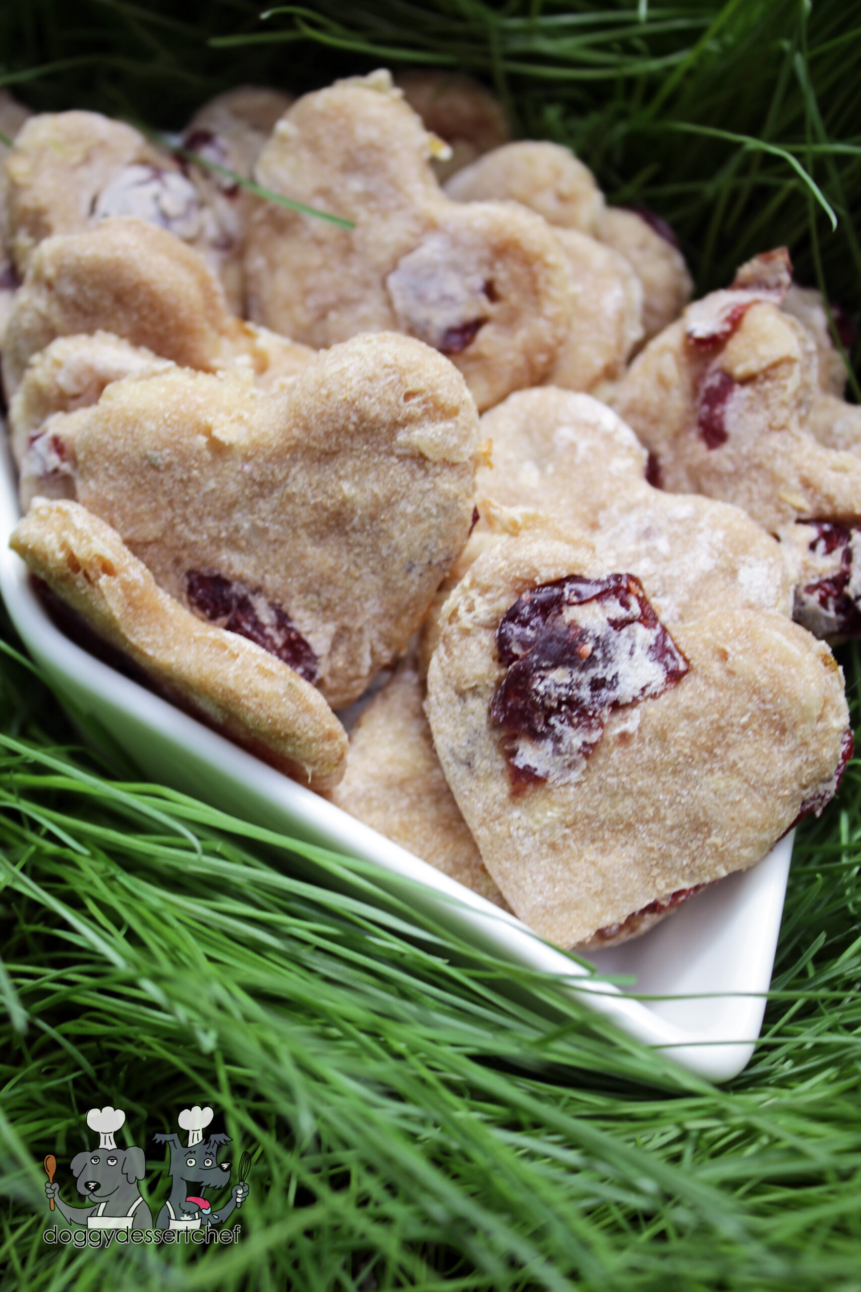 Chicken with Pear and Cranberries Dog Treat Recipe
