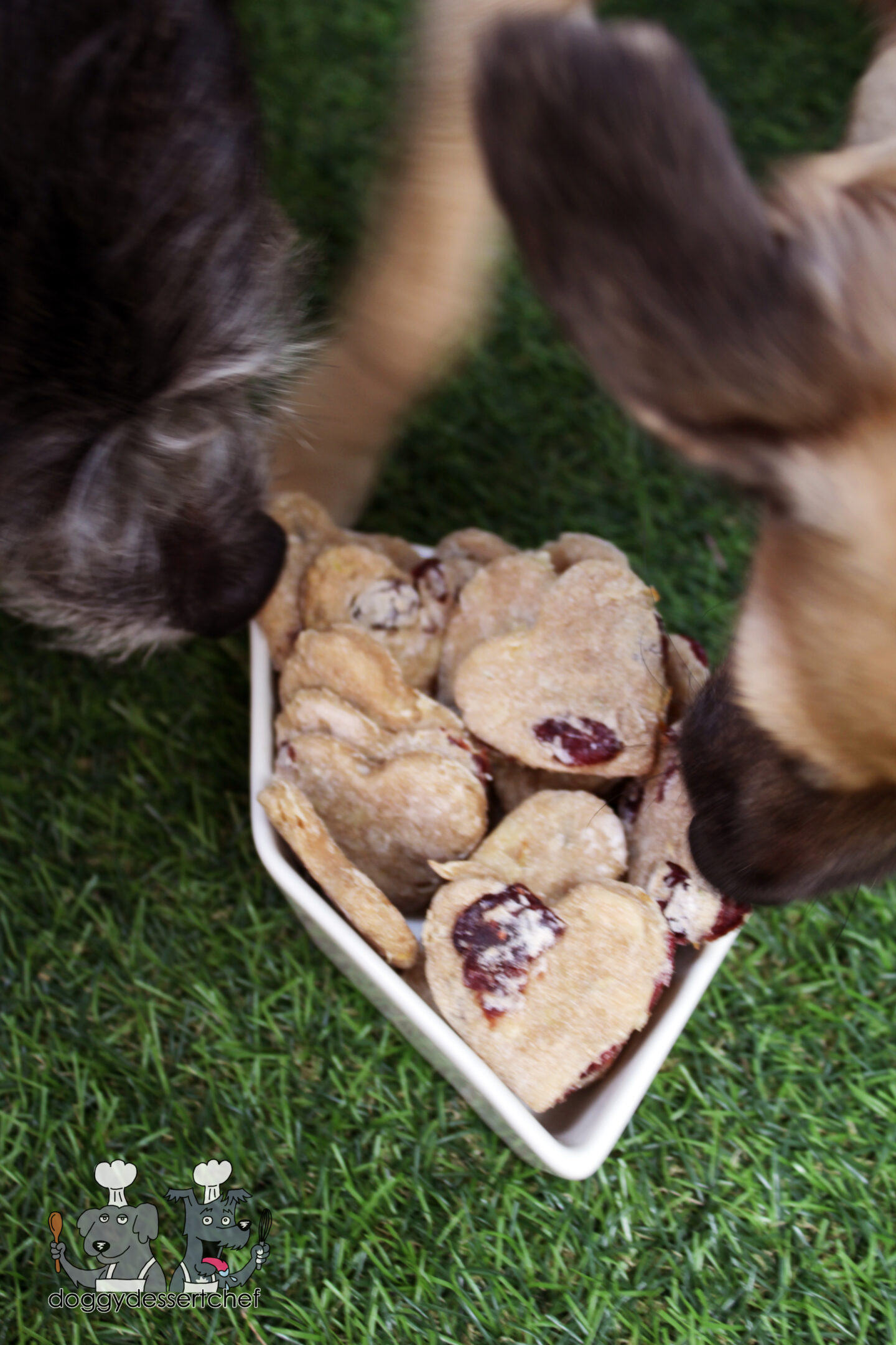Chicken with Pear and Cranberries Dog Treat Recipe